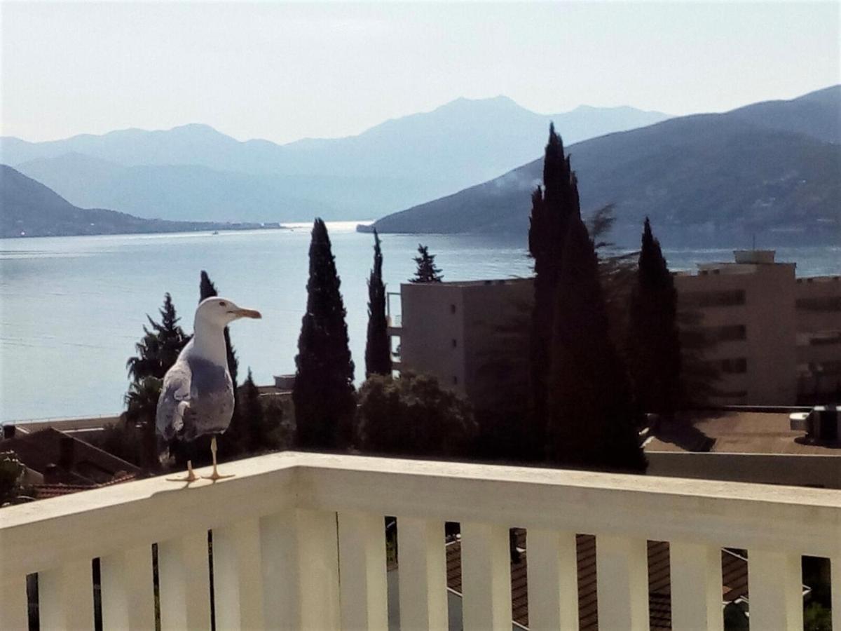 Villa Boka Sunrise Apartments Herceg Novi Exteriér fotografie
